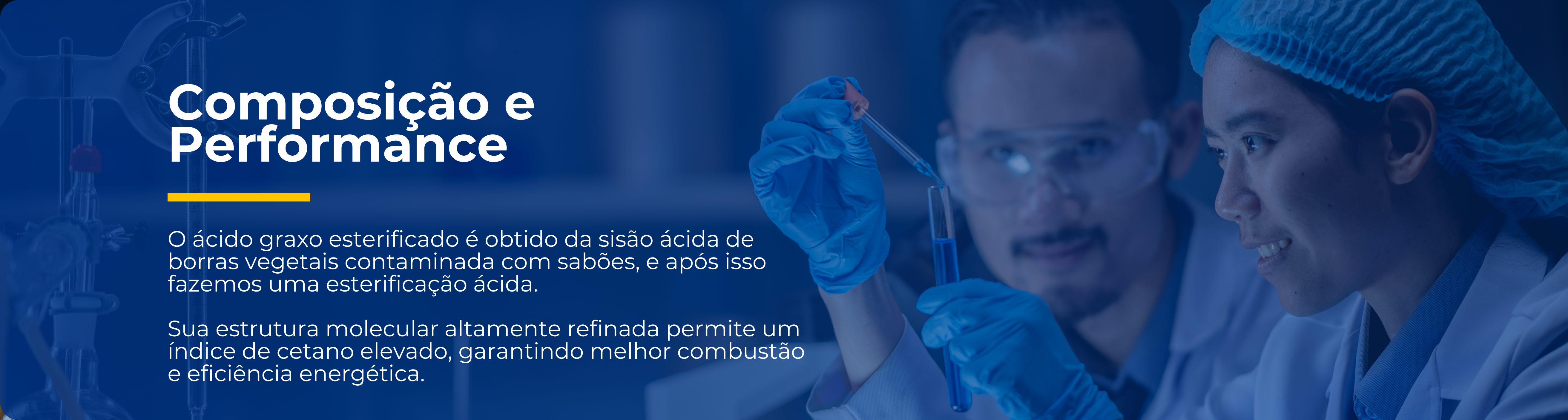 Banner do Site